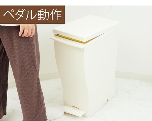 中央を踏まないとダメ キッチン用ゴミ箱おすすめ イメージ