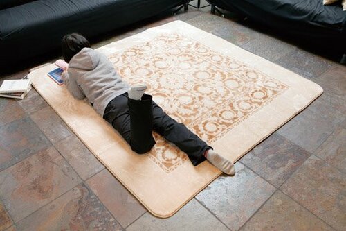 コスト見直し必須！ムダの多いホットカーペット イメージ