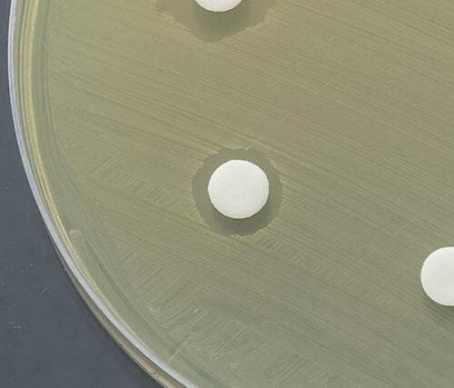 第一三共ヘルスケア「ブレスラボ マウスウォッシュ」 イメージ3