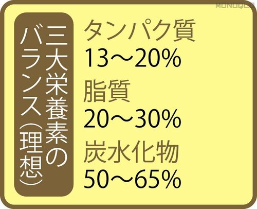 【栄養】栄養バランスはタンパク質が多め 完全栄養食おすすめ イメージ2