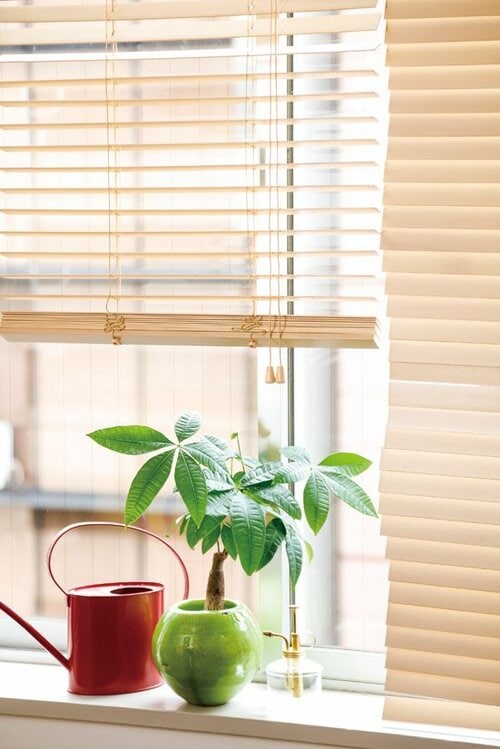 その名の通り美しい！ 木製の本格派ブラインドが激安 イメージ