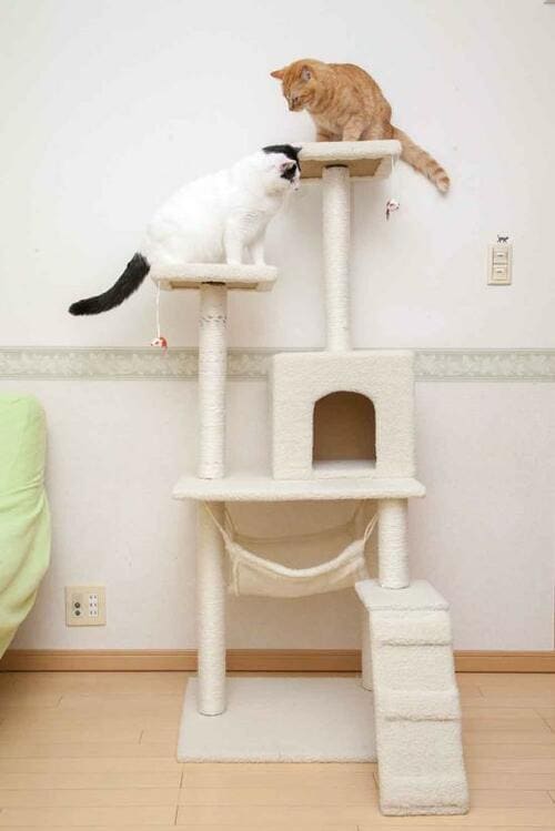 ネコのお気に入りスペースに！ マーキュリーエイトのキャットタワー イメージ