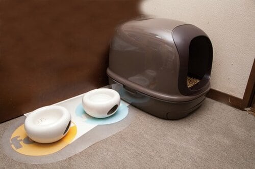 【Q1】ネコのトイレはどこに置くのがベストなの？ イメージ2