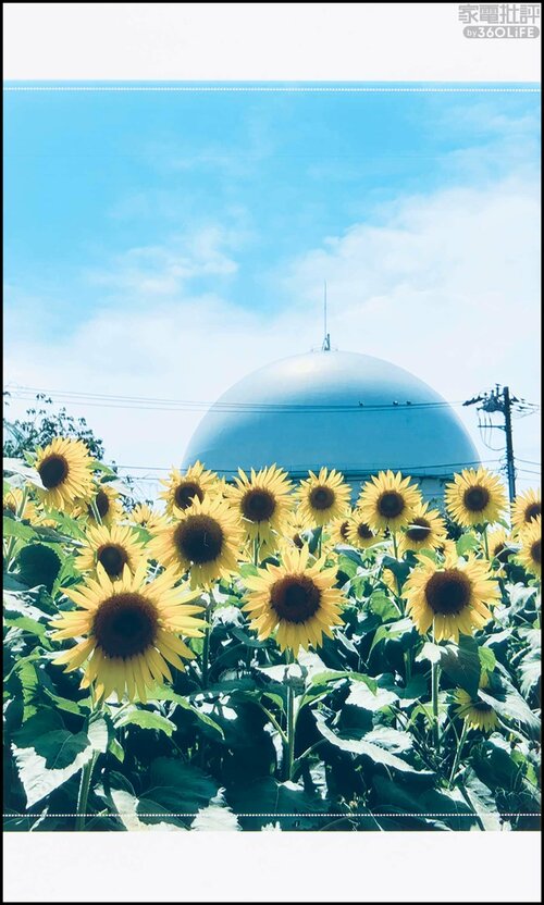 細かい描写や発色が美しい フォトプリンターおすすめ イメージ