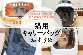 猫用キャリーバッグのおすすめランキング。人気商品の使い勝手や安全性をLDKが比較