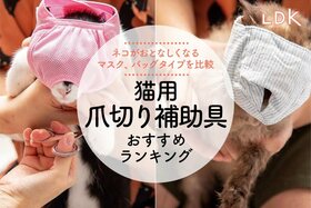 【LDK公式】猫用爪切り補助具のおすすめランキング。マスクタイプなどの人気製品を比較