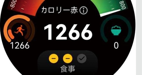 「HUAWEI WATCH GT 5 Pro」の廉価版も日常使用でわかる差はなし スマートウォッチおすすめ イメージ3