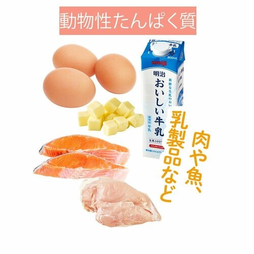 動物性たんぱく質 プロテインスープおすすめ イメージ