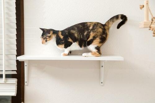 イケア「ブールフルト棚板」2