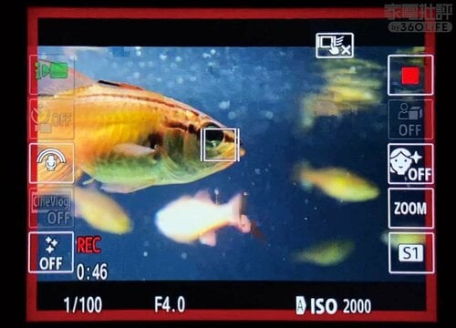 動画でも「美」を追求するならキヤノンです 家電批評ベストバイオブザイヤーおすすめ イメージ