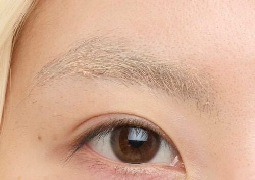 眉コンシーラーを塗った眉 眉コンシーラーおすすめ イメージ