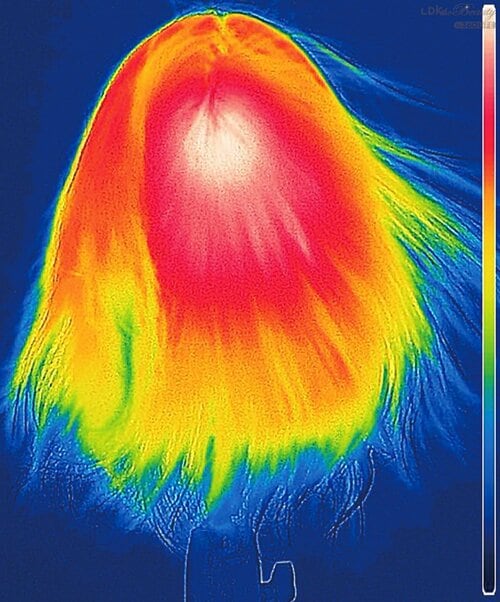 速乾性：温風が全体に行き渡りかき混ぜるようにドライ ドライヤーおすすめ イメージ