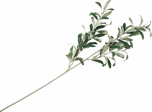 イケア「スミッカ 造花 スプレー/オリーブ」 イメージ