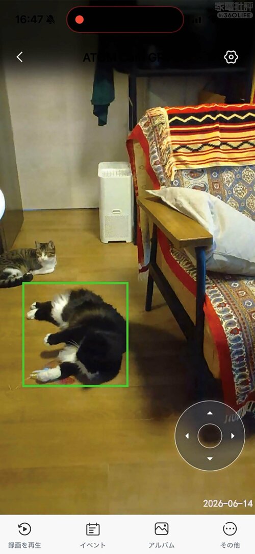 ペット検知は2匹映っても枠は1匹のみ 見守りカメラおすすめ イメージ