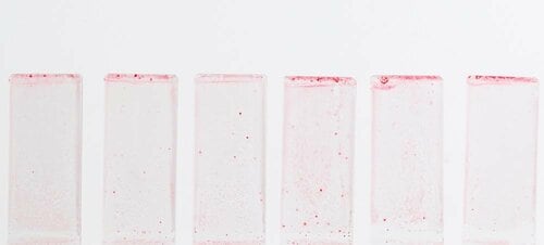 テスト結果 食器用洗剤おすすめ イメージ