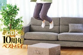 部屋で弾んで楽しく燃焼！筋トレできるおしゃれなトランポリンクッション見つけちゃった【LDK】