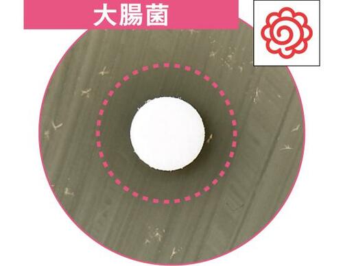 ブドウ球菌も大腸菌も!“除菌力A評価”の4製品 イメージ2