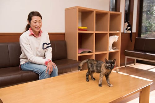 【極意2】信頼関係を築くには5つの基本ルールを厳守すること！ イメージ2