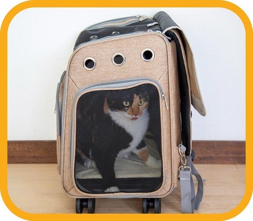 天面と側面からネコを出し入れできる 猫用キャリーバッグおすすめ イメージ