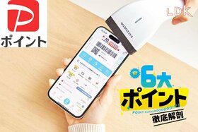 【決済わっしょい】PayPayは貯まりやすさ実感NO.1！「5のつく日」チェックしてる？【LDK】