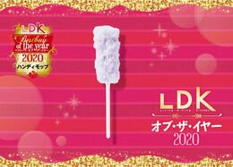 ハンディモップの定番！ 花王「クイックル ハンディ」で掃除がラクになります｜LDK オブ・ザ・イヤー2020