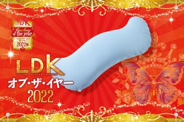 抱き枕はMOGU「雲に抱きつく夢枕」がダントツの抱き心地！【LDK