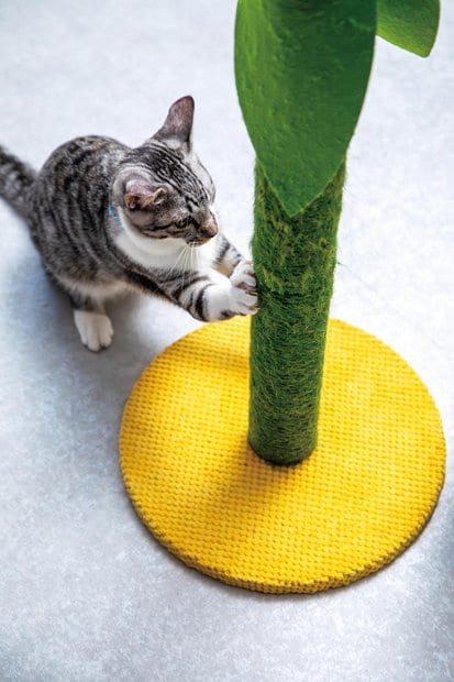立ち上がって存分にツメをとげる 猫用爪とぎおすすめ イメージ
