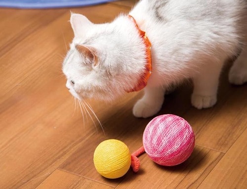 猫からの人気はイマイチ「あっち?こっち!ねこ玉」 イメージ2
