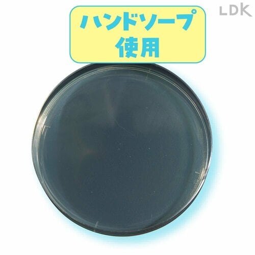 テスト1:除菌特性 ハンドソープおすすめ イメージ3