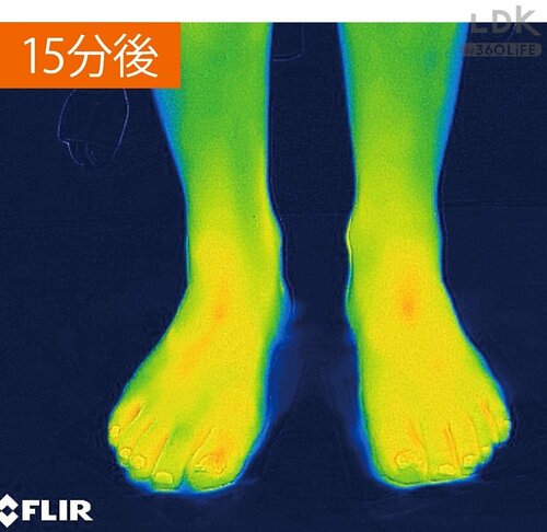 暮らしを救う理由：15分たっても足先まで温かさをキープ LDKベストバイ入浴剤おすすめ イメージ2