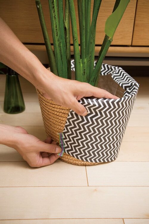 インテリアに植物を取り入れてみよう