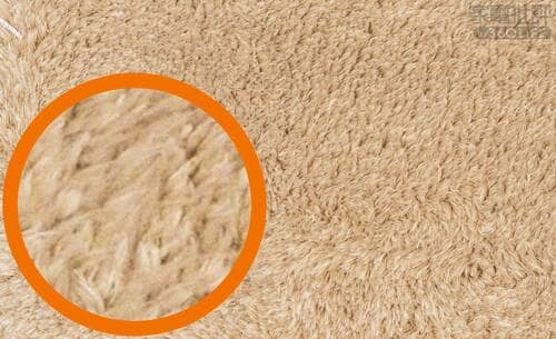 長毛じゅうたん ドック付き掃除機おすすめ イメージ2