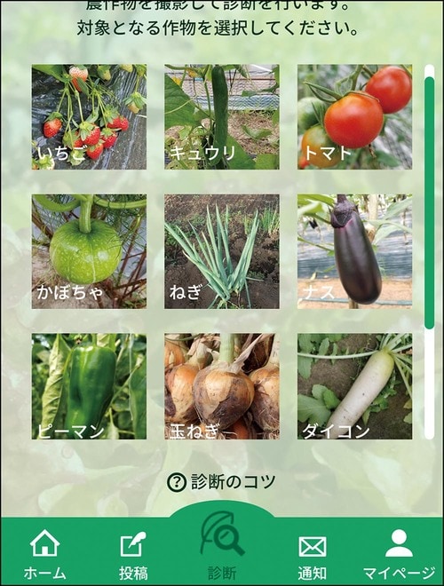 ポイント：栽培SNSで疑問や不安を解決できる イメージ