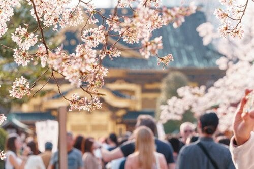 背景の大きなボケ感もフルサイズの魅力ですと イメージ