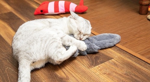 動きは激しめだけど使用率は普通 猫用おもちゃおすすめ イメージ