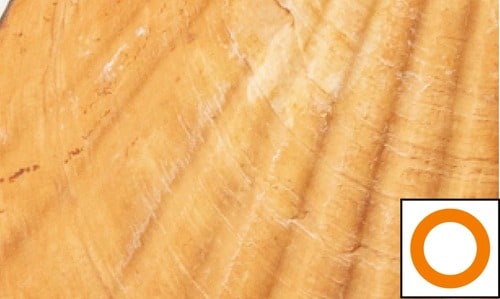 即効ホワイトニング力 ホワイトニングジェルおすすめ イメージ