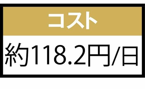 コスト：比較製品中で最高価 イチョウ葉エキスサプリおすすめ イメージ