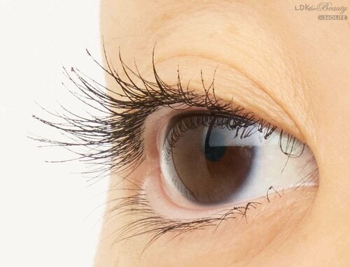 仕上がり マスカラおすすめ イメージ