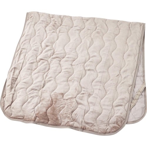 冬用敷きパッドおすすめ イオン ホームコーディヒート 秋・冬・春まで 長~く使えるリバーシブル敷パッド イメージ1