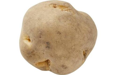 ▼男爵：○ イメージ