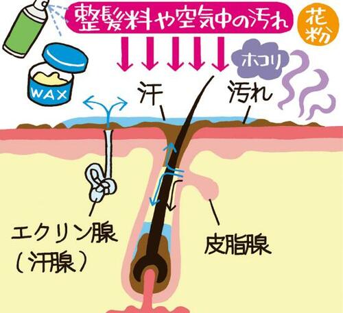 頭皮から嫌なニオイがするのは皮脂・汗・外気の汚れが原因