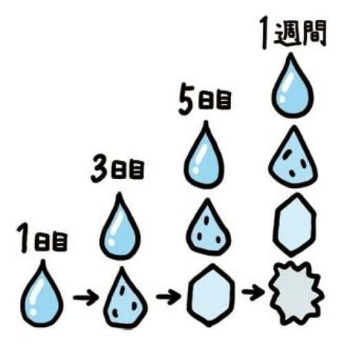 洗面所掃除のラクラクのカギは「洗濯物行きのタオル」 イメージ3