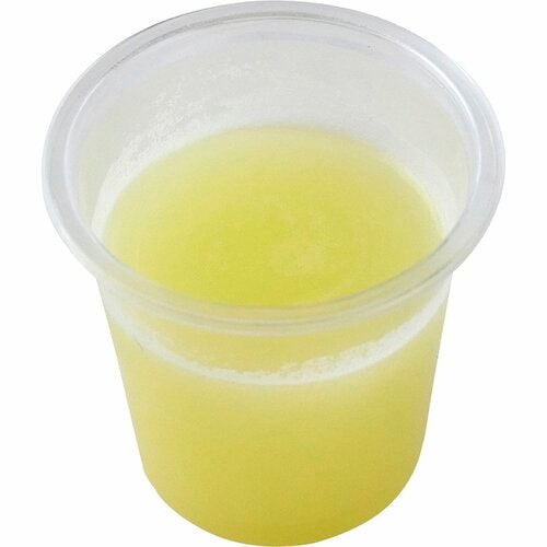 ジュニアプロテインおすすめ ALL UP ジュニアプロテイン【成長】マスカット味 イメージ3