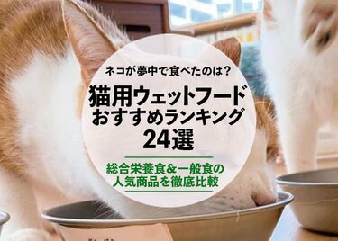 22年 猫用ウェットフードのおすすめ24選 ネコが好む人気商品を徹底比較 360life サンロクマル