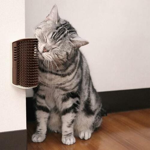 ネコウケするセルフブラシをプロと比較 イメージ