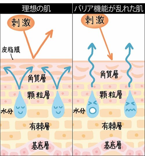 ゴシゴシ洗顔するのは逆効果！ 洗顔料おすすめ イメージ