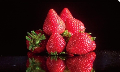 TCL「C7K(55V型)」の画質比較テスト写真（立体感）