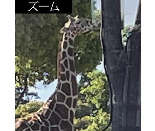 アップル「iPhone 12」（SIMフリー／64GB） イメージ3