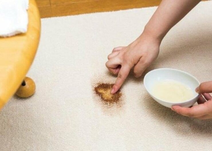【掃除スゴ技】カーペットの醤油・コーヒージミは「ぞうきん＋掃除機」でした｜「LDK」が比較
