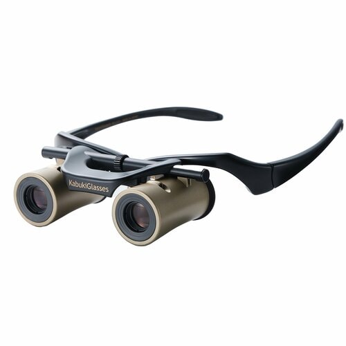  サンテプラス カブキグラス イメージ1